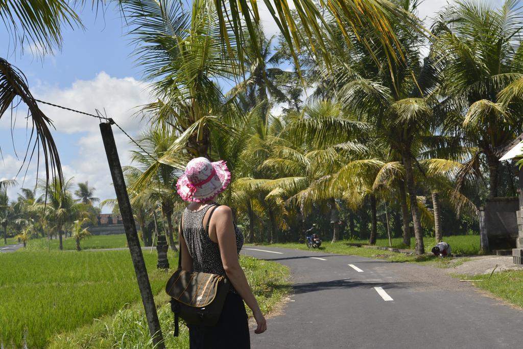 Angel House Ubud Eco Villa ภายนอก รูปภาพ