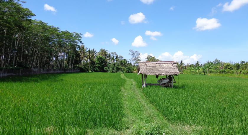 Angel House Ubud Eco Villa ภายนอก รูปภาพ